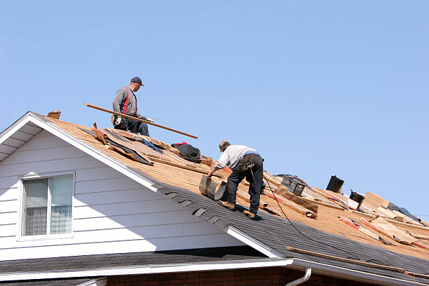 Best Roof Maintenance and Cleaning  in Culpeper, VA